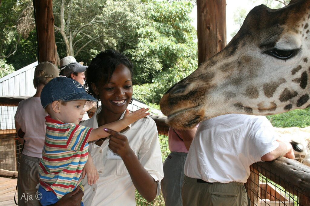 GiraffeCentre 1