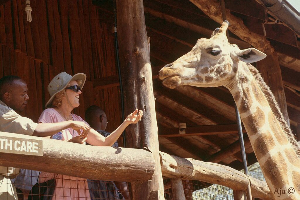 Activities Nairobi 2006