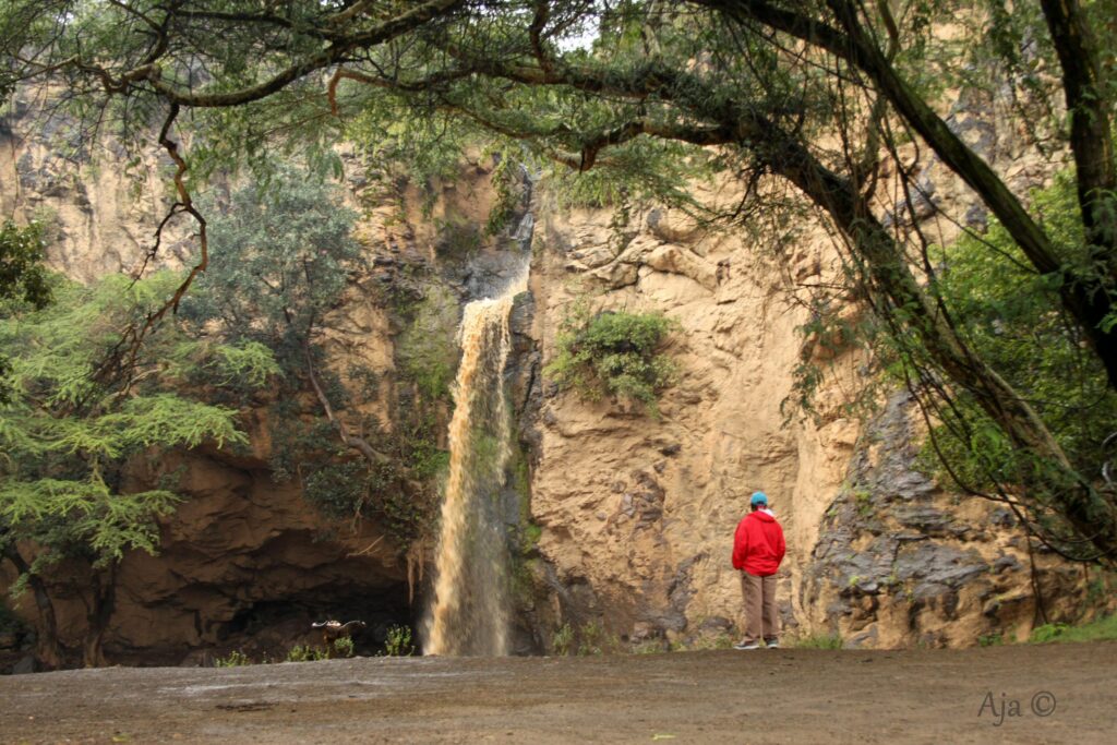 LakeNakuru 2019 6273