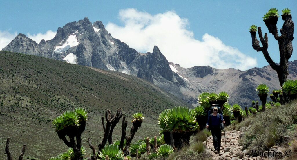 Kenya Teleki Valley 1998