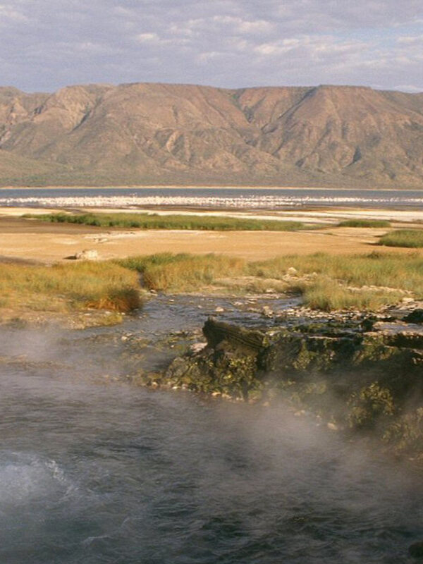 the great rift valley soda lakes CHnaW